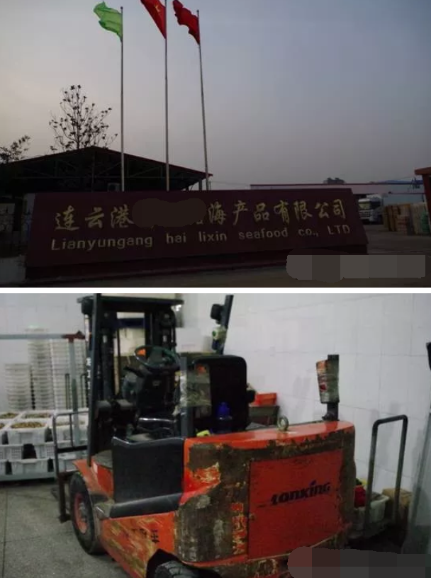 龍工冷庫電動叉車