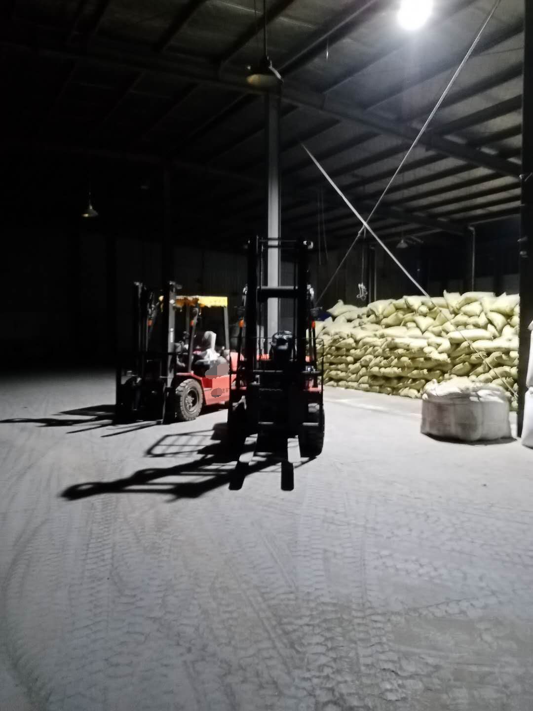 龍工化工專用叉車